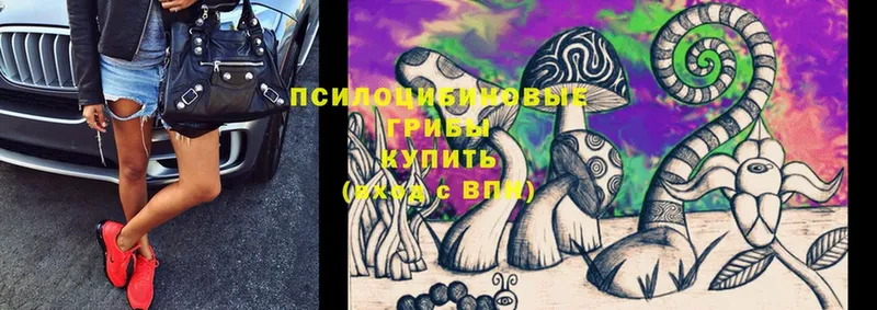 цены   Выкса  кракен зеркало  Псилоцибиновые грибы Cubensis 