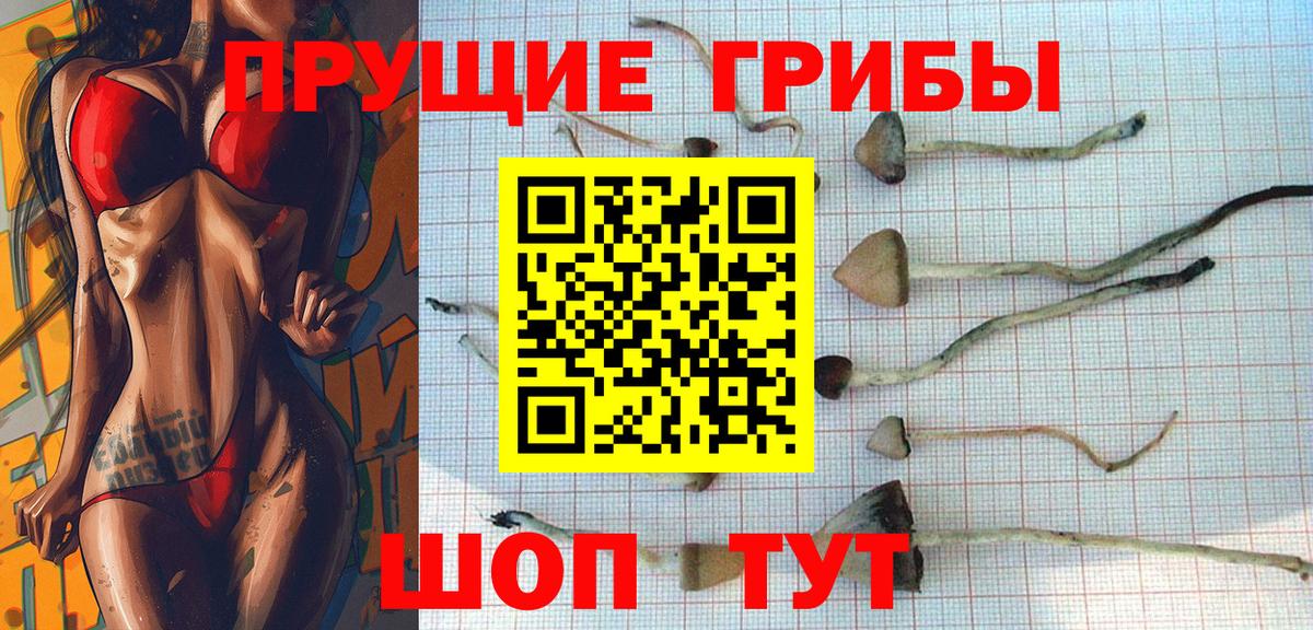 Галлюциногенные грибы Cubensis  Выкса 