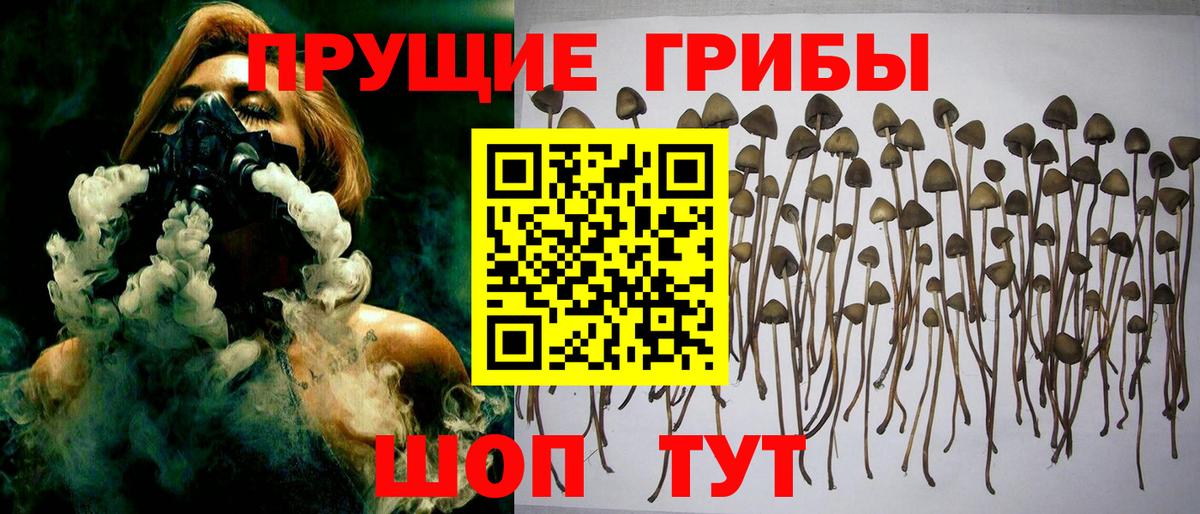Галлюциногенные грибы MAGIC MUSHROOMS Выкса