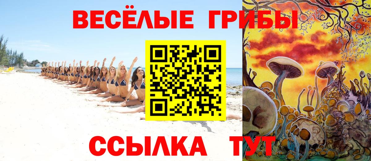 Галлюциногенные грибы мицелий Выкса