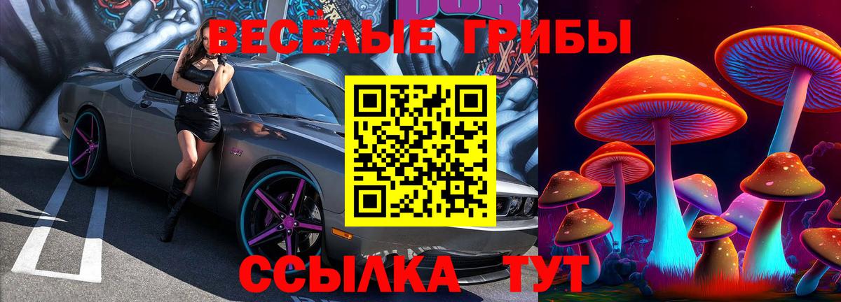 Галлюциногенные грибы прущие грибы  Псилоцибиновые грибы Psilocybe  Вход с VPN  наркошоп  Выкса 